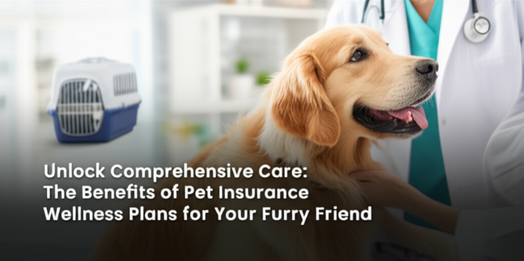 Unlock Comprehensive Care: The Benefits of Pet Insurance Wellness Plans for Your Furry Friend